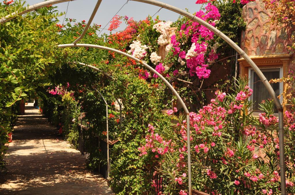 Siesta Beach Apartment Bodrum Exterior foto