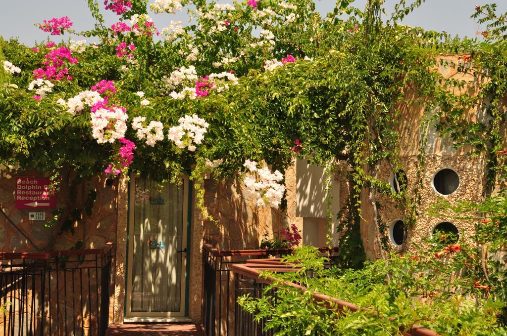 Siesta Beach Apartment Bodrum Exterior foto