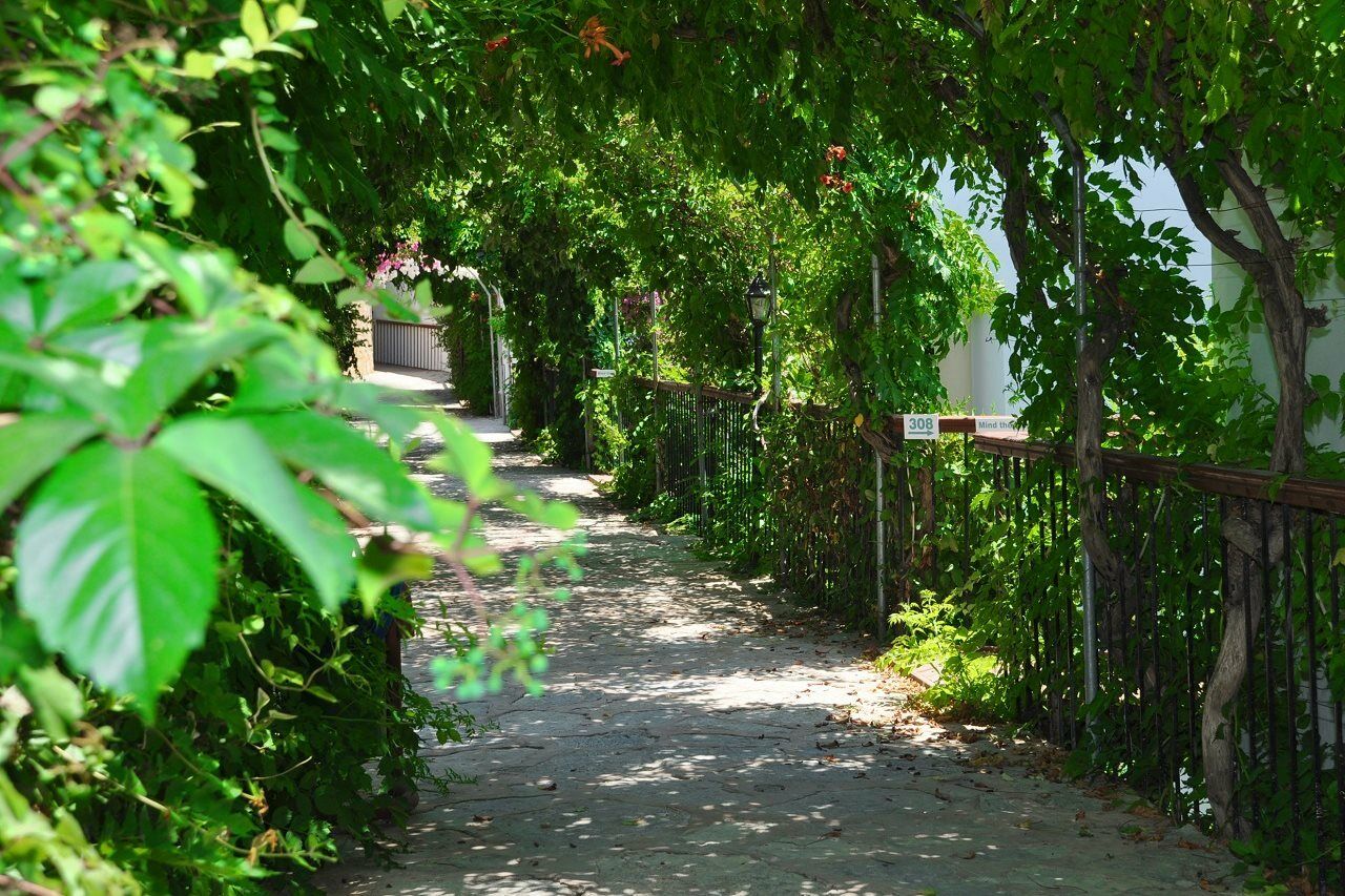Siesta Beach Apartment Bodrum Exterior foto